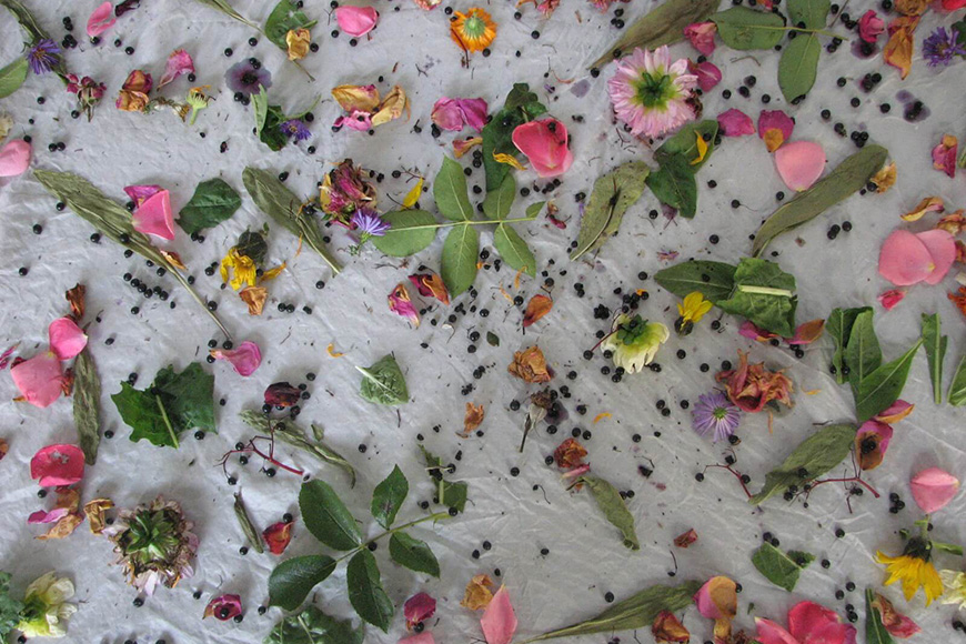 natural-dye.jpg